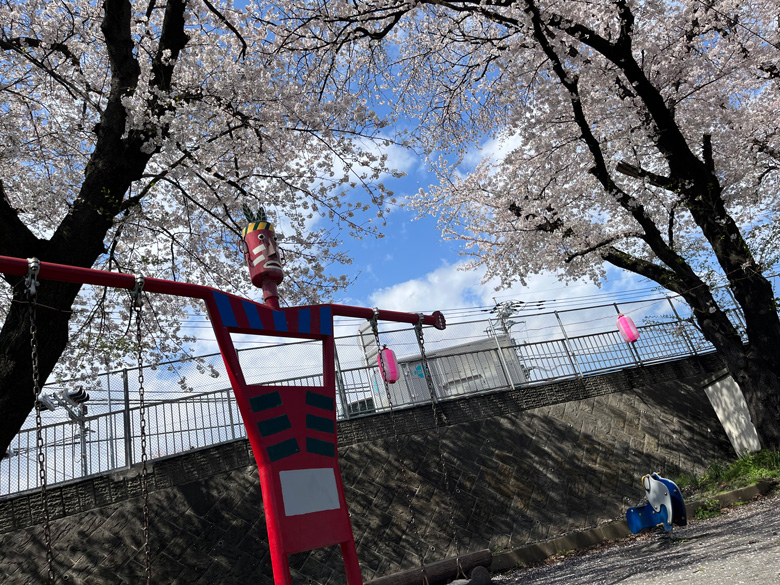 小さな公園にあるラピュタのロボット兵みたいなブランコと桜～神奈川県厚木市相模川三川合流点